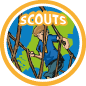 badge scouts